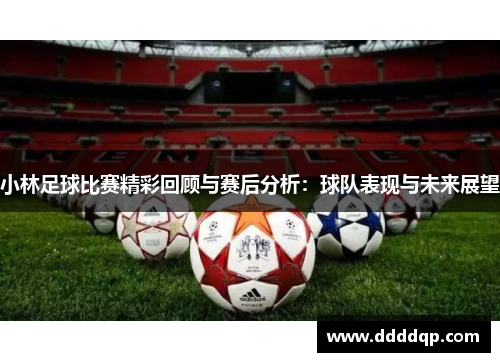 小林足球比赛精彩回顾与赛后分析：球队表现与未来展望